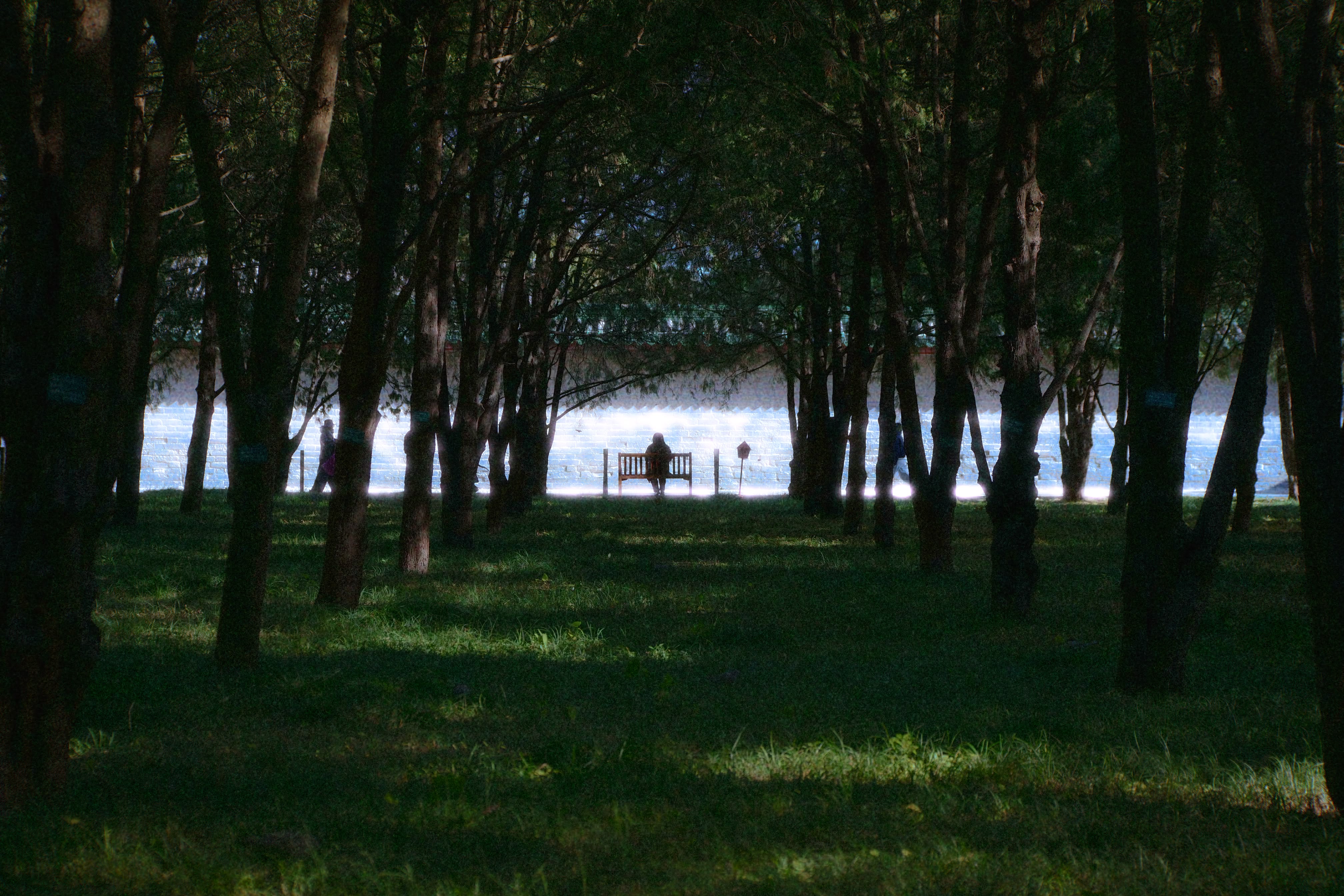 Photography 8